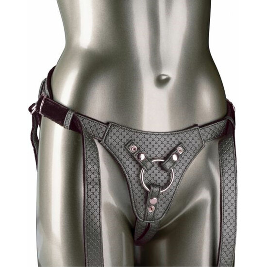 The Regal Queen - Basic Silver Harness