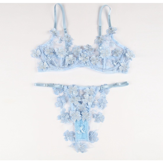 UNDERWEAR SET: UNDERWEARED PANTIES AND BRA EMBROIDERED MESH WITH FLORAL APPLIQUES
