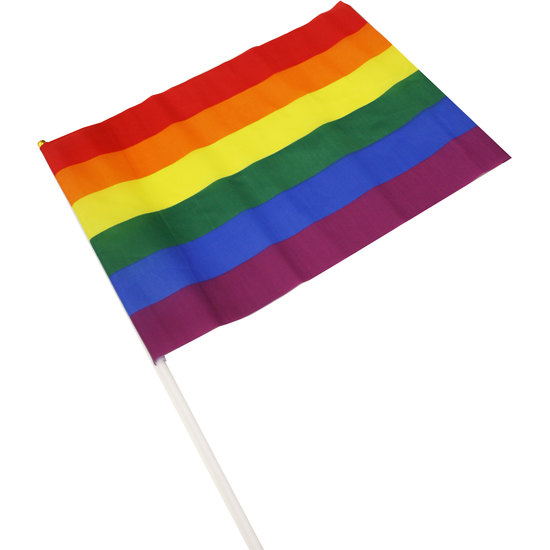 MEDIUM LGBT PRIDE FLAG