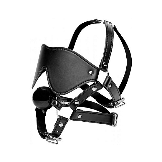 Harness With Mask And Gag