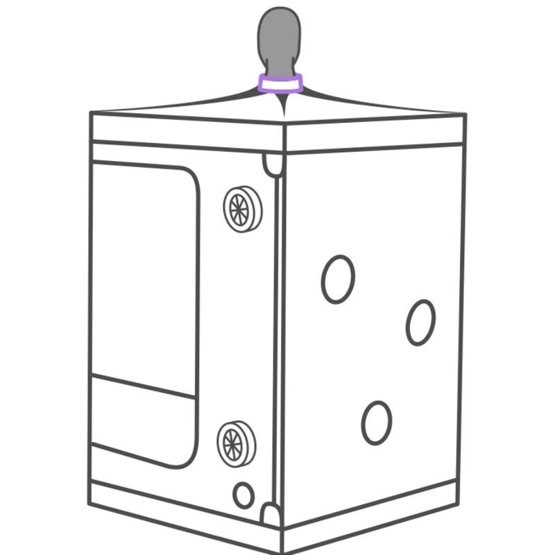 SECRET DOME - KINK CLUB CABIN SCANDALE PURPLE